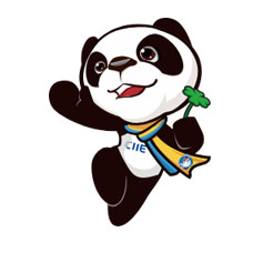 代收上海進(jìn)博會(huì)資料_第六屆中國國際進(jìn)口博覽會(huì)